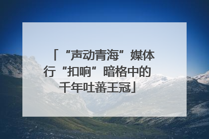 “声动青海”媒体行“扣响”暗格中的千年吐蕃王冠